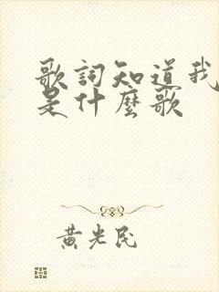 歌词知道我爱你是什么歌