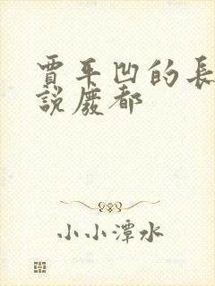 贾平凹的长篇小说废都