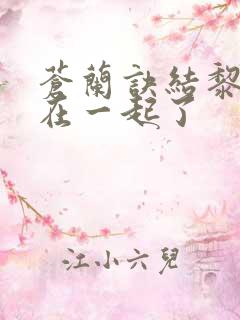 苍兰诀结黎和谁在一起了