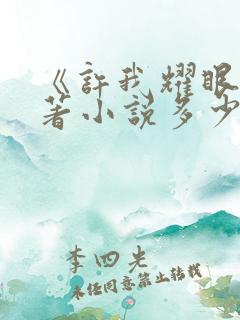 《许我耀眼》原著小说多少字