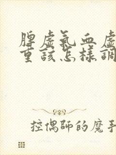 脾虚气血虚湿气重该怎样调理