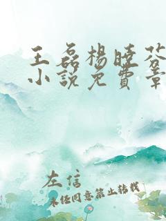 王磊杨晓芬后妈小说免费章节