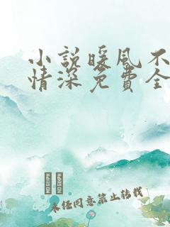 小说暖风不及你情深免费全文阅读