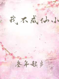 我不成仙小说