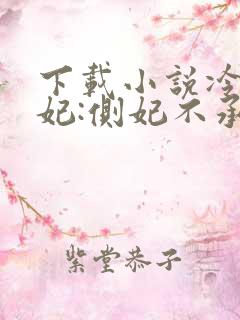 下载小说冷王盗妃:侧妃不承欢