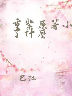 重紫原著小说讲了什么