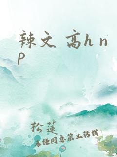 辣文 高h np