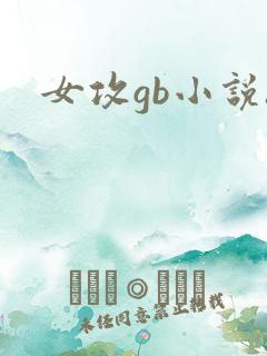 女攻gb小说h