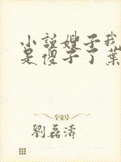 小说嫂子我真不是傻子了叶凡免费全文阅读