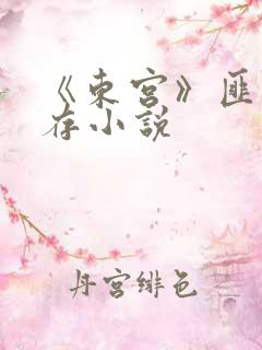 《东宫》匪我思存小说