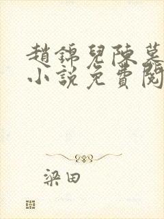 赵锦儿陈慕修的小说免费阅读