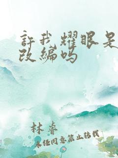 许我耀眼是小说改编吗