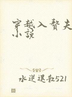 穿越入赘夫郎的小说