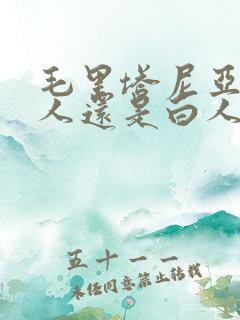 毛里塔尼亚是黑人还是白人