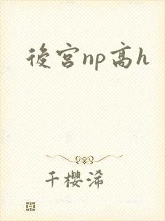 后宫np高h