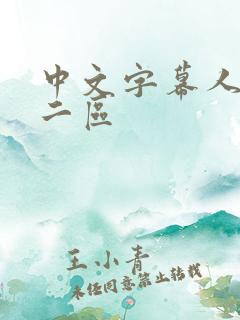 中文字幕人妻第二区