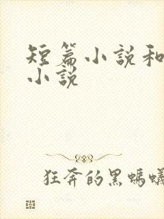 短篇小说和长篇小说