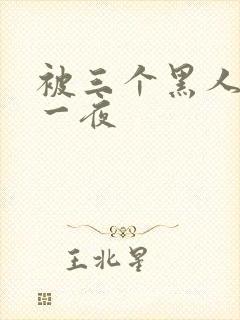 被三个黑人操了一夜