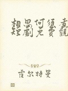 相思何须煮余年短剧免费观看