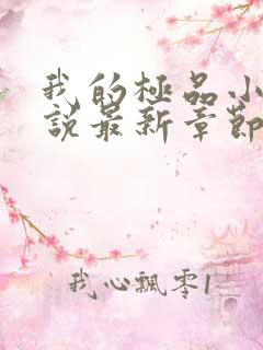 我的极品小姨小说最新章节下载