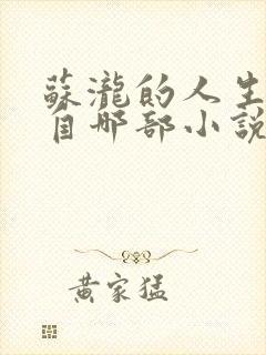 苏泷的人生改编自哪部小说