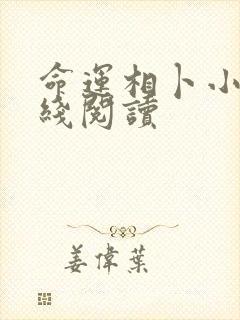 命运相卜小说在线阅读