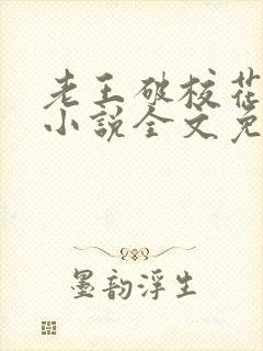 老王破校花沈瑶小说全文免费