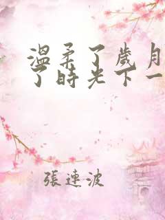 温柔了岁月惊艳了时光下一句是什么