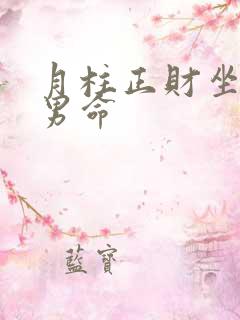 月柱正财坐伤官男命