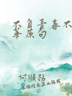 不负青春不负韶华原句