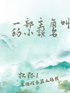 一部主角叫林天的小说名