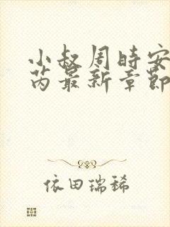 小叔周时安秦诗芮最新章节更新内容