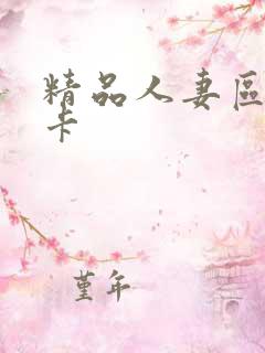 精品人妻区二不卡