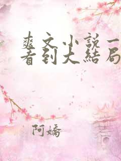 爽文小说一口气看到大结局