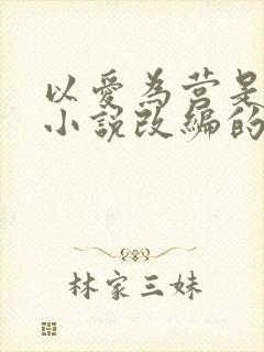 以爱为营是什么小说改编的