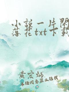 小说一片闲心对落花txt下载
