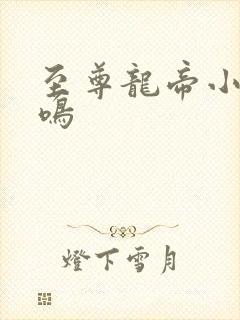 至尊龙帝小说陆鸣