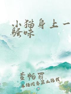 小猫身上一股尿骚味