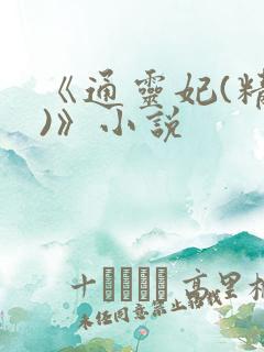 《通灵妃(精版)》小说