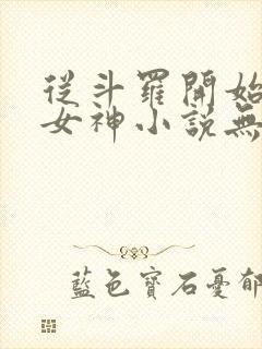 从斗罗开始俘获女神小说无删减在线阅读