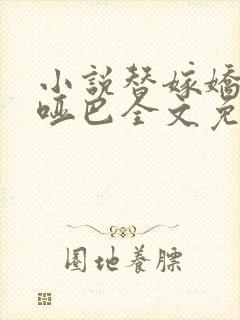 小说替嫁娇妻是哑巴全文免费阅读