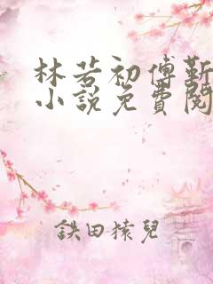 林若初傅靳年的小说免费阅读