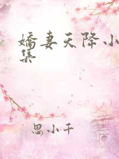 娇妻天降小说全集