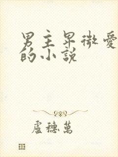 男主卑微爱女主的小说