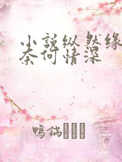 小说纵然缘浅,奈何情深