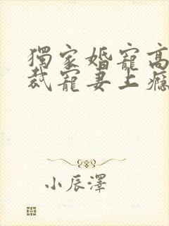 独家婚宠高冷总裁宠妻上瘾