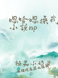 嗯哈嗯操我嗯啊小说np
