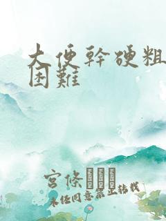 大便干硬粗排便困难