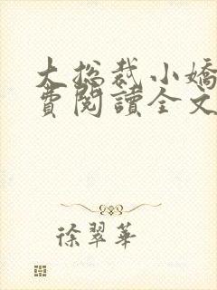 大总裁小娇妻免费阅读全文