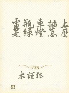 电瓶车插上电就是绿灯怎么回事儿